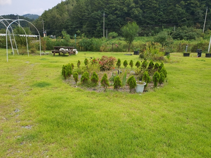 물건 사진 31