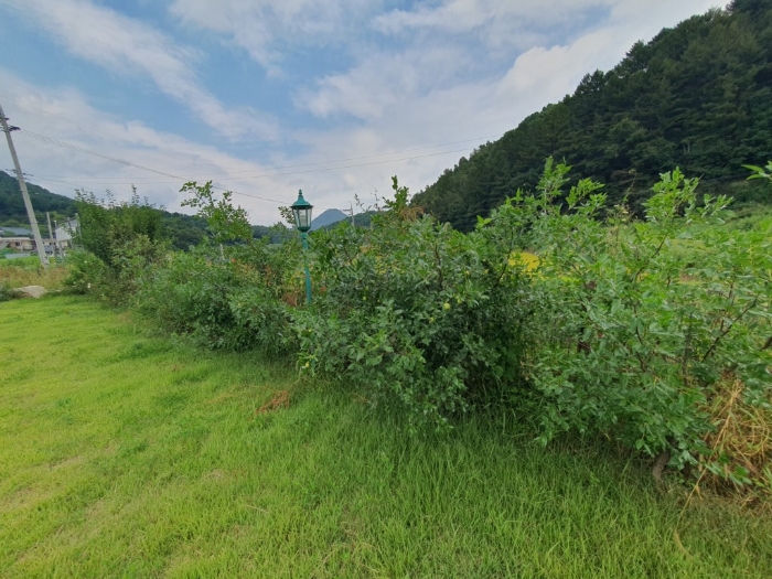 물건 사진 32