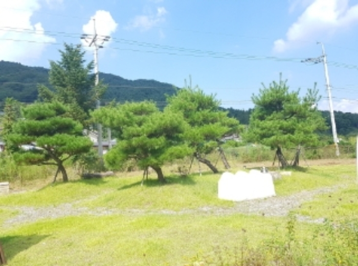 물건 사진 9