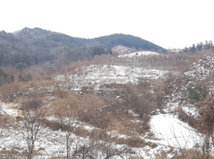 물건 사진 2
