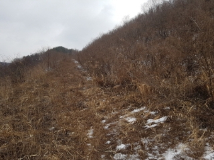 물건 사진 11