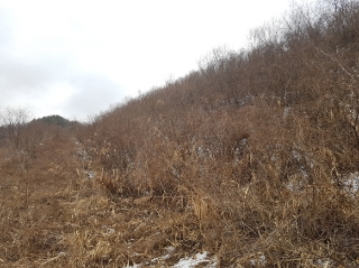 물건 사진 12