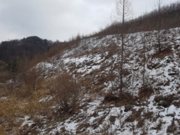 물건 사진 14