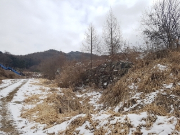 물건 사진 17