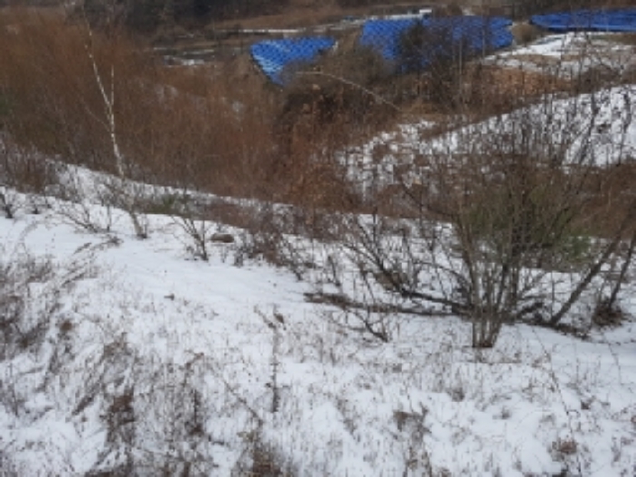 물건 사진 19