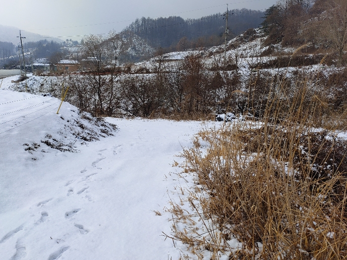 물건 사진 30