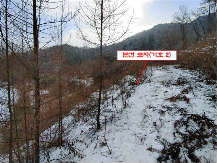 물건 사진 35
