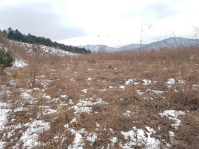 물건 사진 5