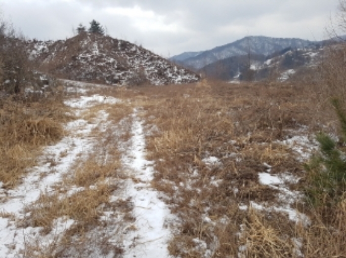 물건 사진 6