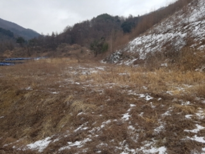 물건 사진 8