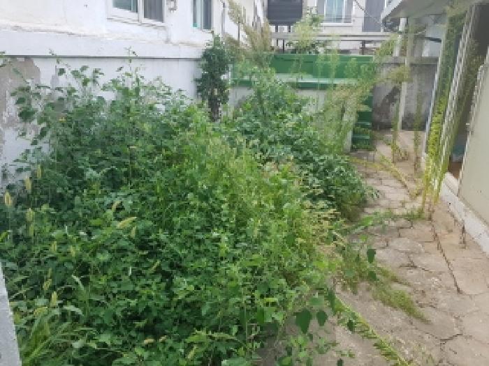 물건 사진 5