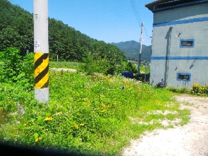 물건 사진 13