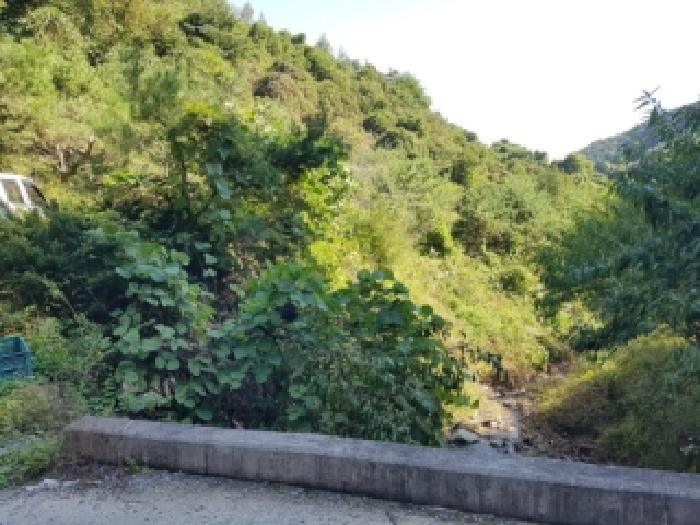 물건 사진 15