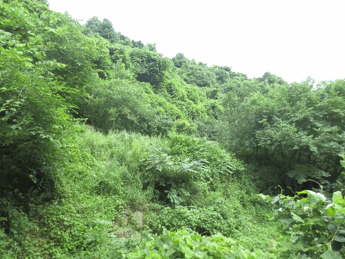 물건 사진 33
