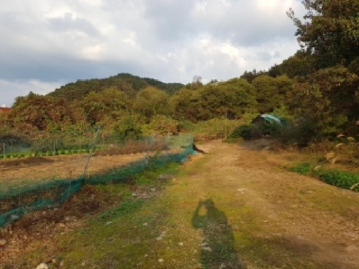 물건 사진 5