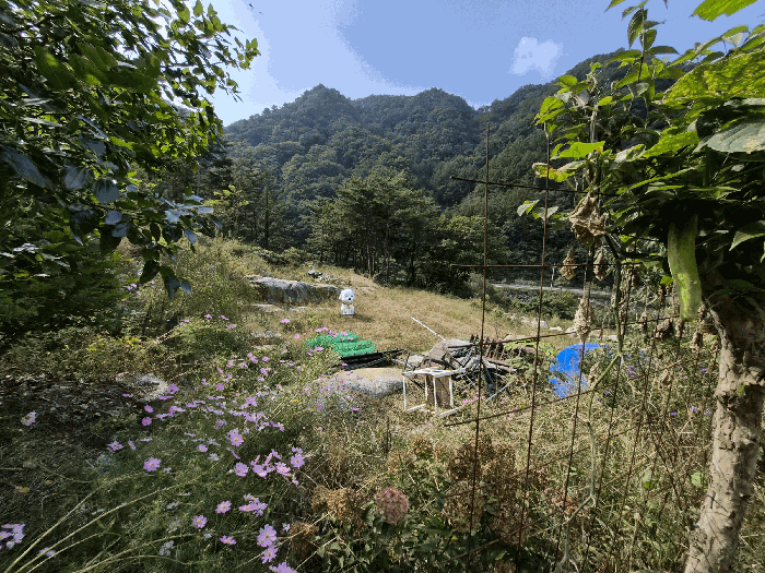 물건 사진 25
