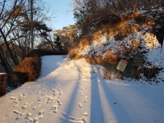 물건 사진 31
