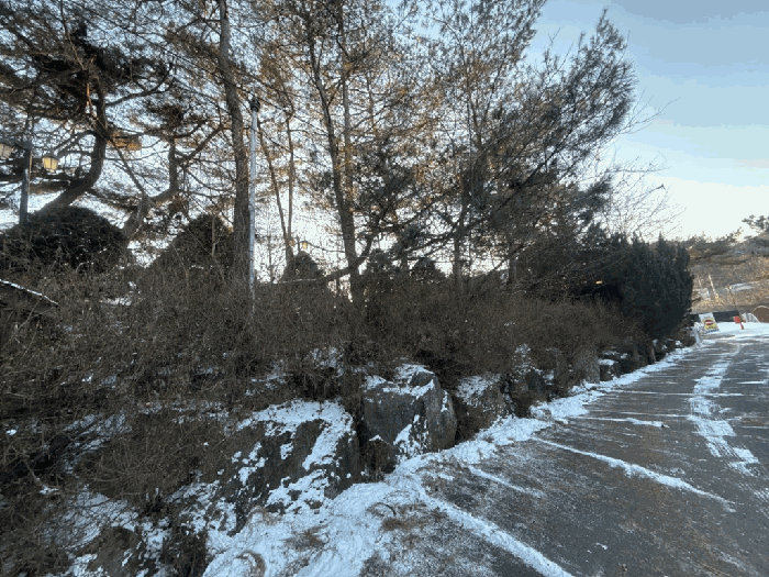 물건 사진 90