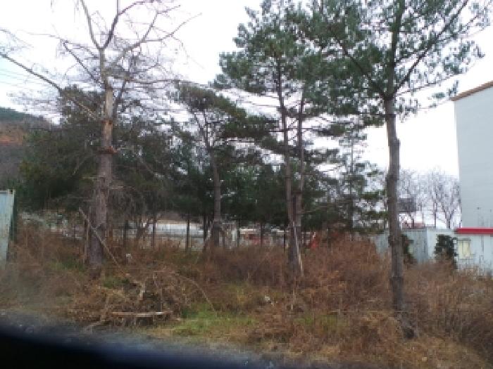 물건 사진 9