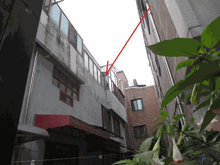 물건 사진 12