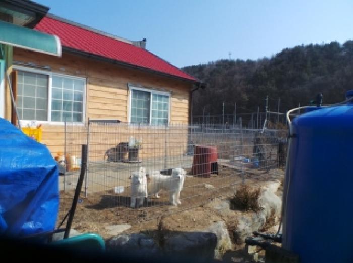 물건 사진 9