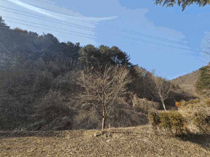 물건 사진 31