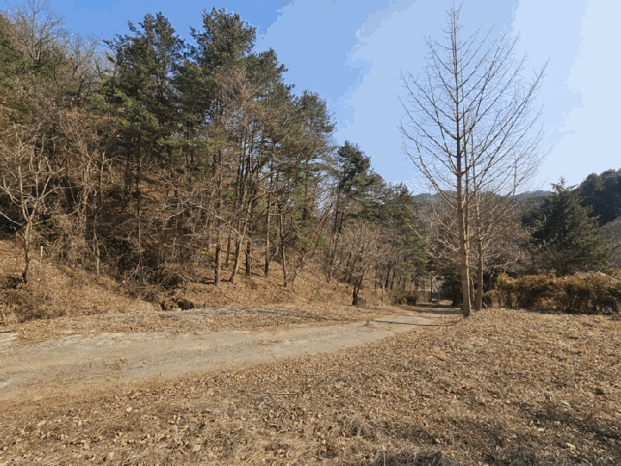 물건 사진 38