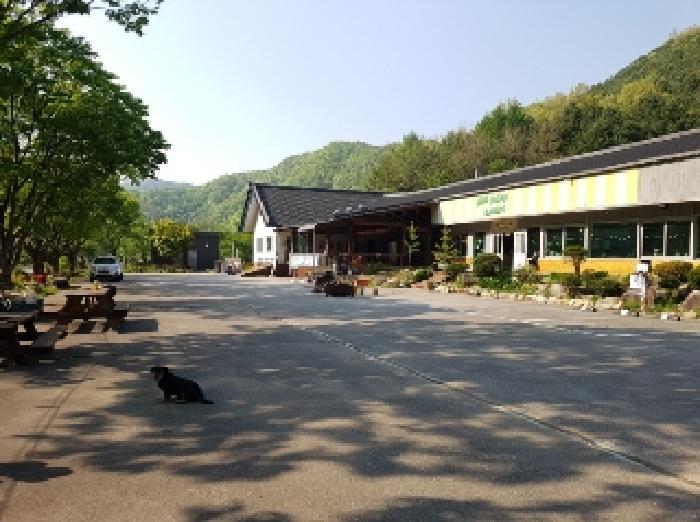 물건 사진 29