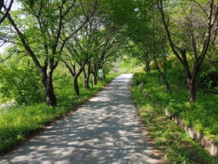 물건 사진 19