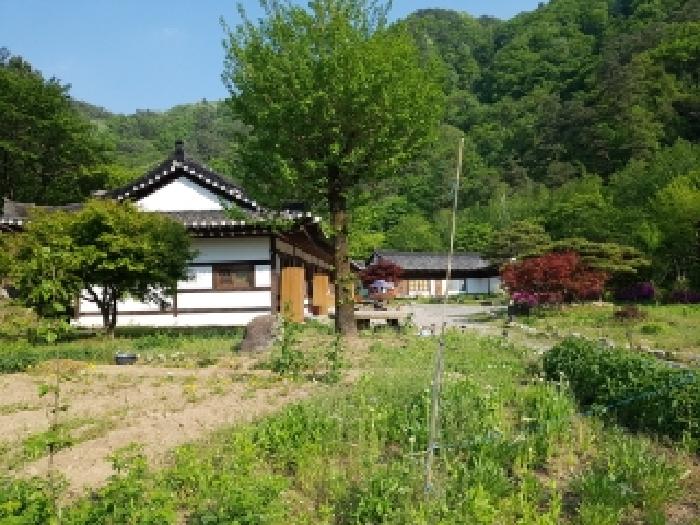 물건 사진 21