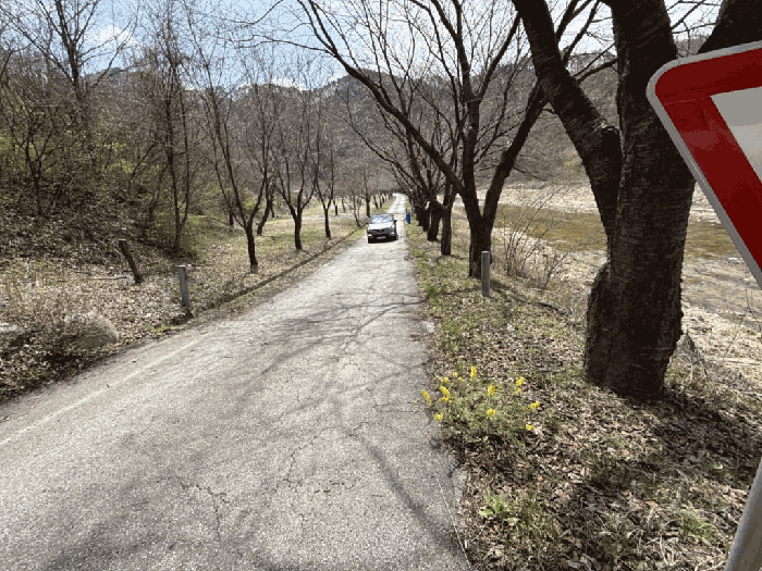 물건 사진 51