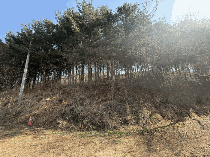 물건 사진 53