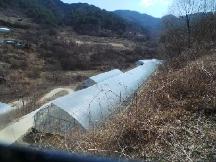 물건 사진 2