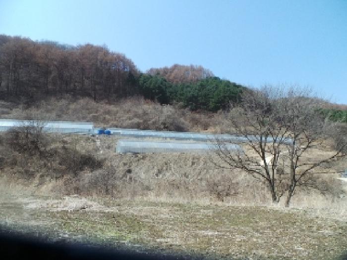 물건 사진 11