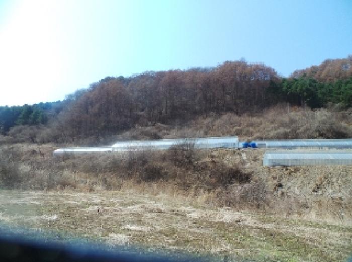 물건 사진 12