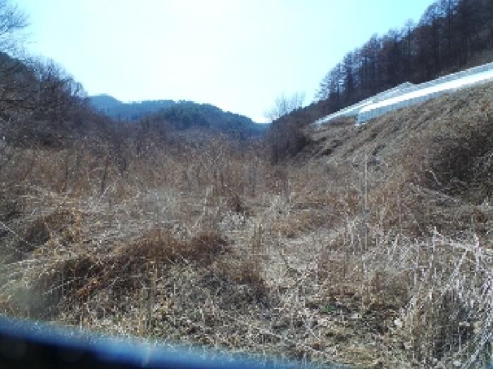 물건 사진 13