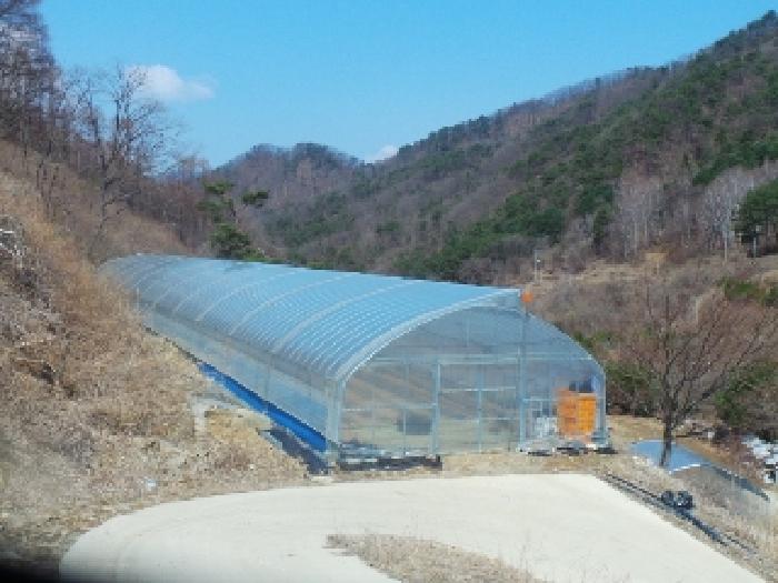 물건 사진 17