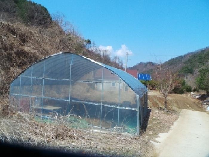 물건 사진 20