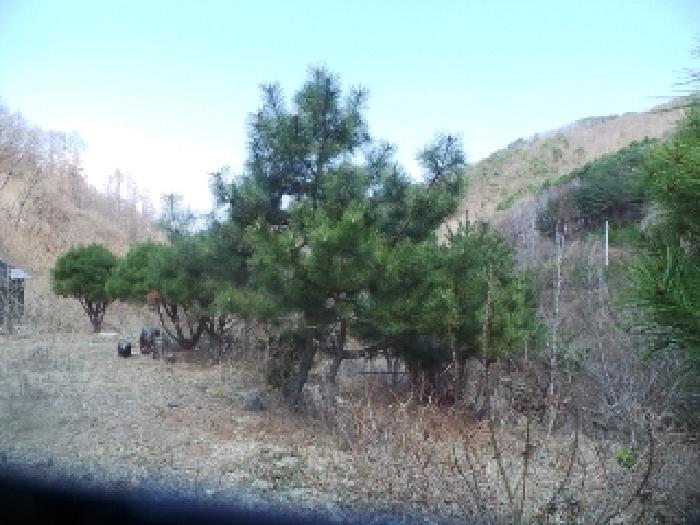 물건 사진 34