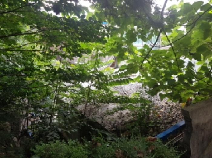 물건 사진 17