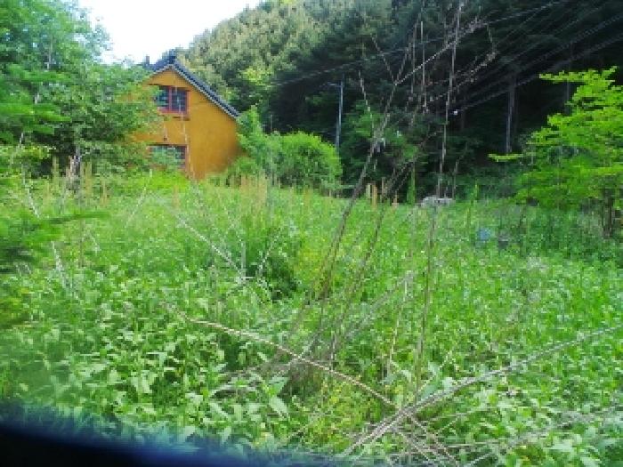 물건 사진 55