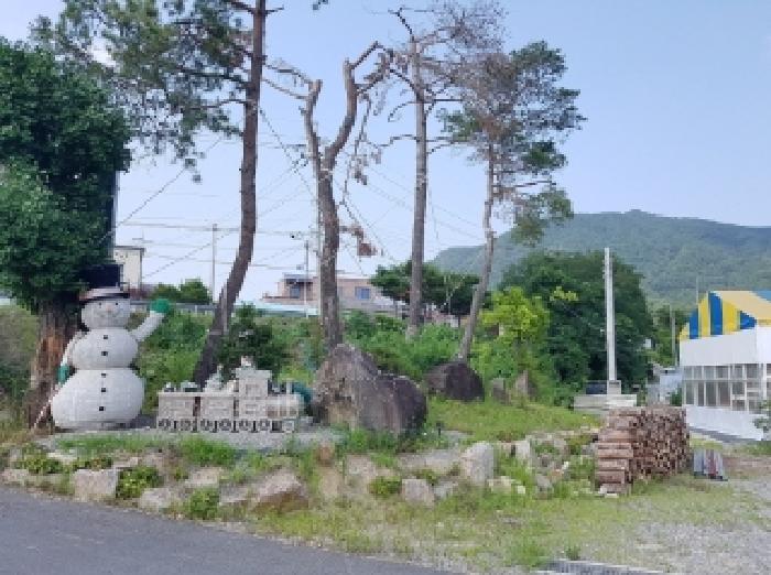 물건 사진 19