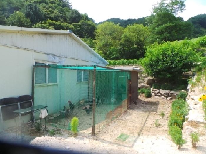 물건 사진 13
