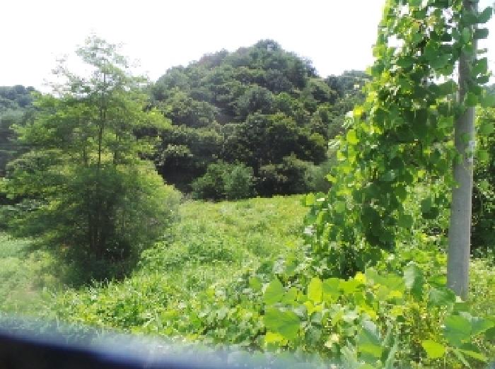 물건 사진 16