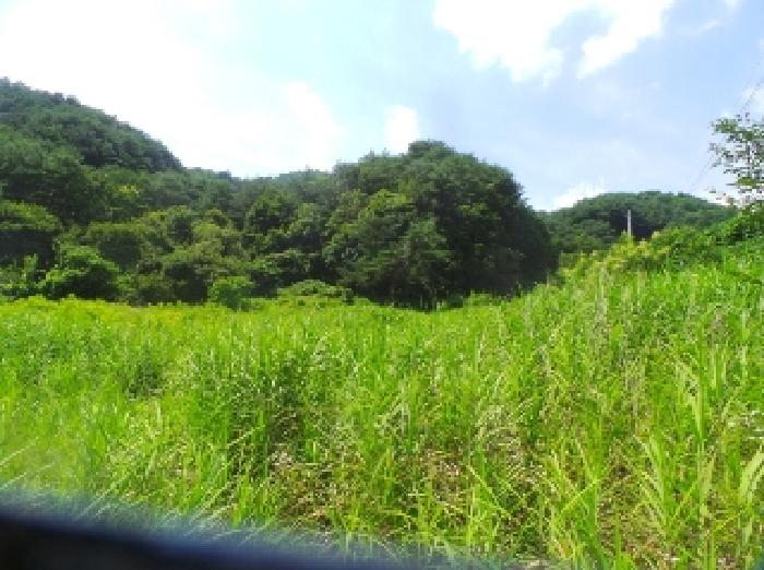 물건 사진 18