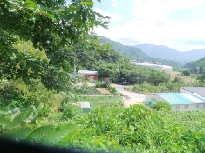 물건 사진 19