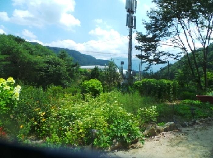 물건 사진 24