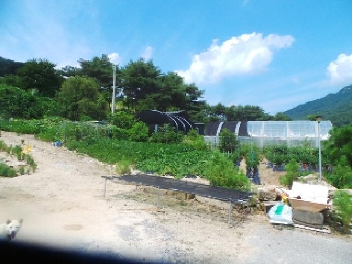 물건 사진 25