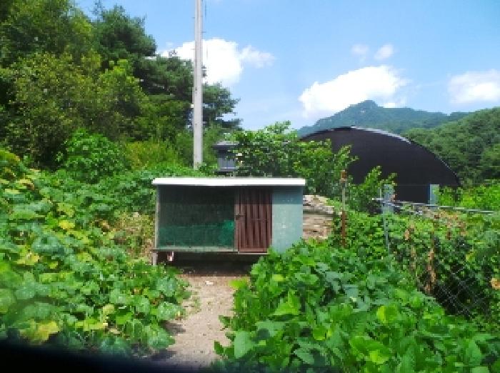 물건 사진 27