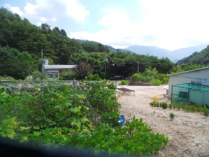 물건 사진 28